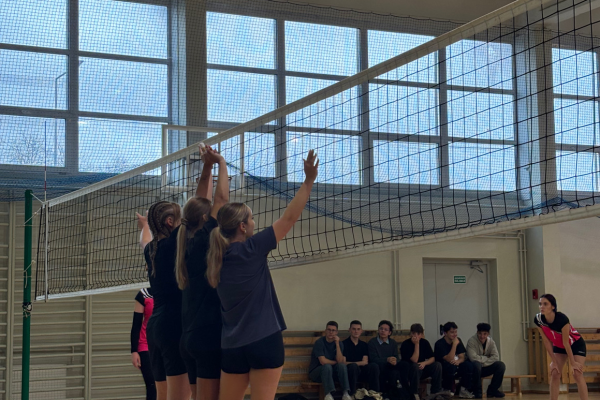 Kvietimas į Kalėdinius krešinio ir tinklinio turnyrus